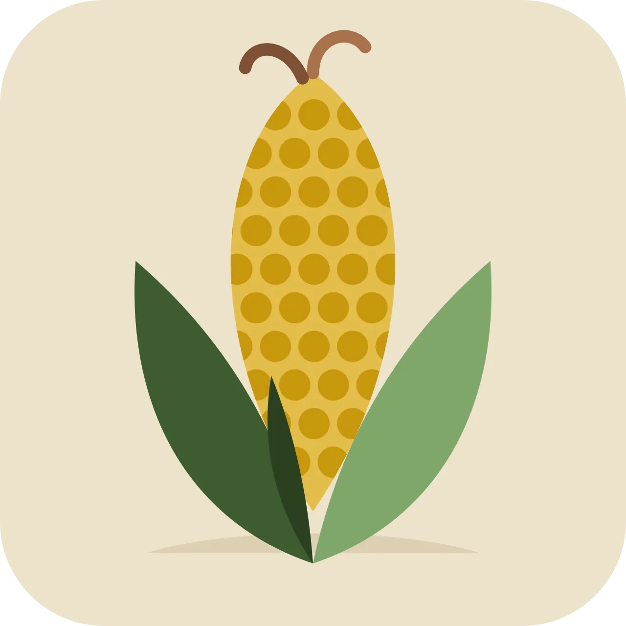 elut — ear of corn