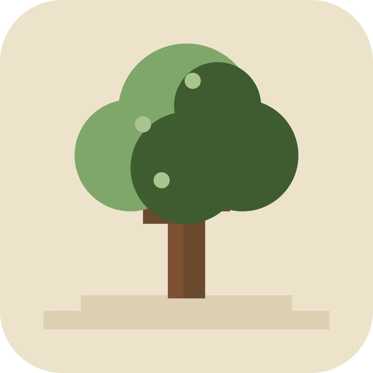 kwawit — tree