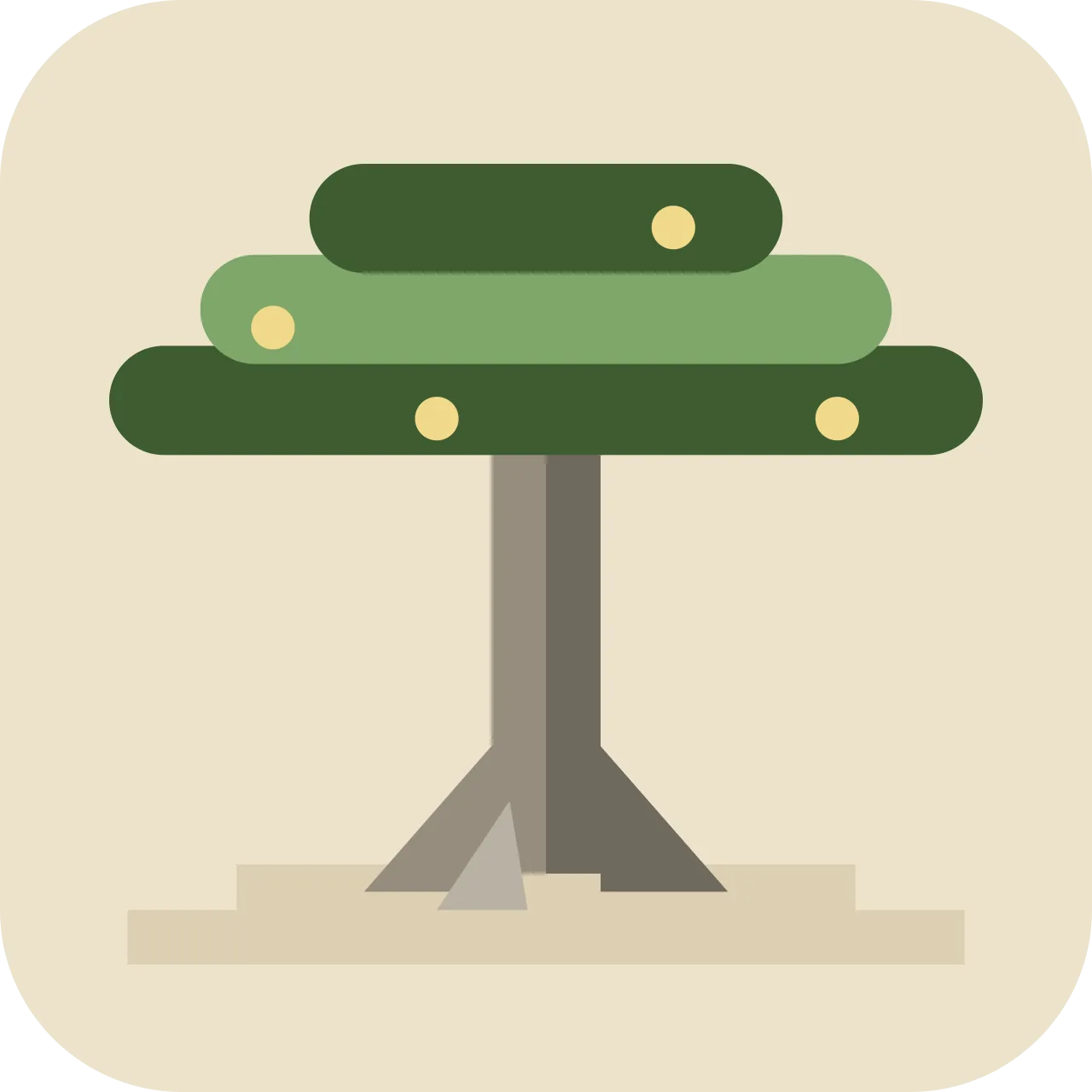 puchut — ceiba, kapok tree