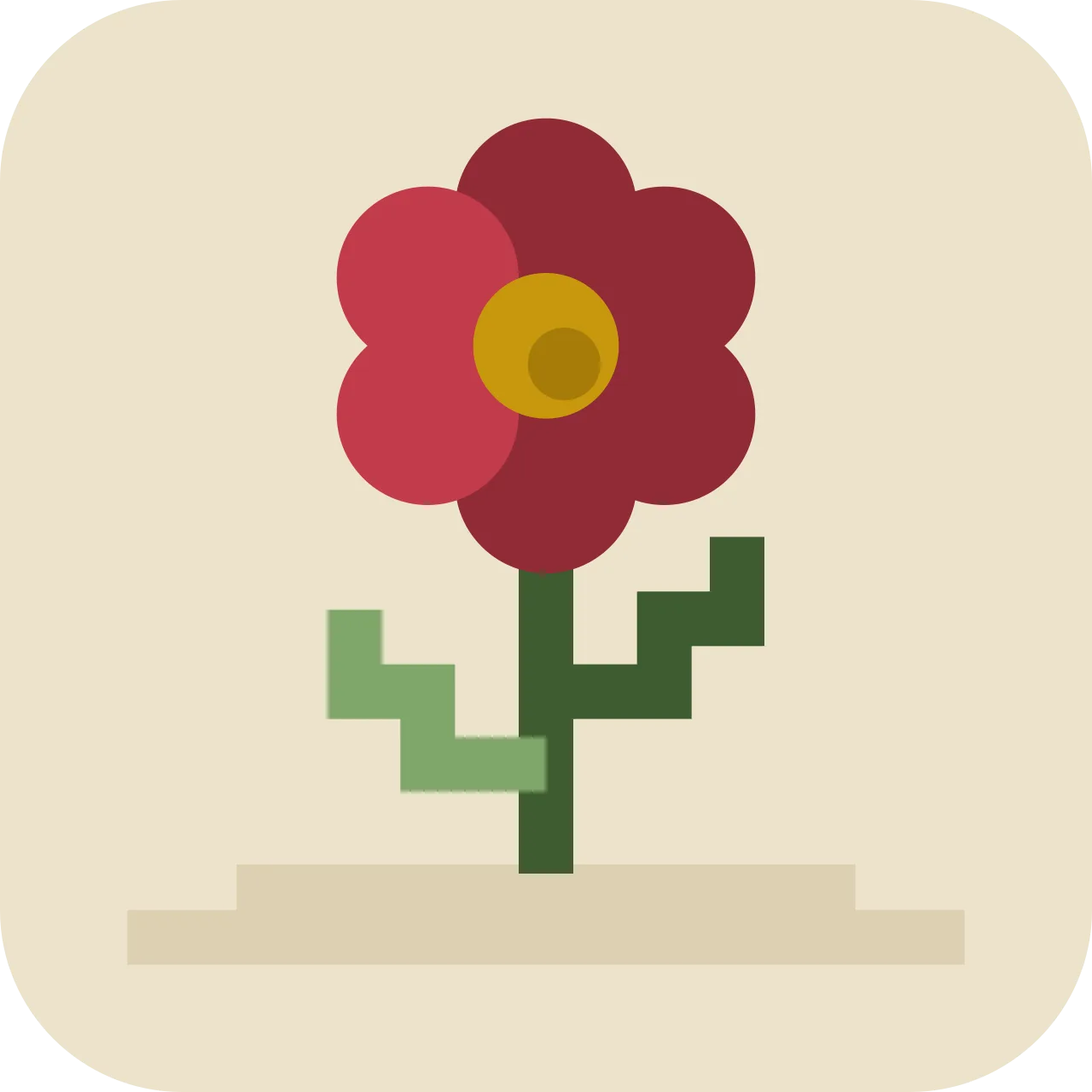 shuchit — flower