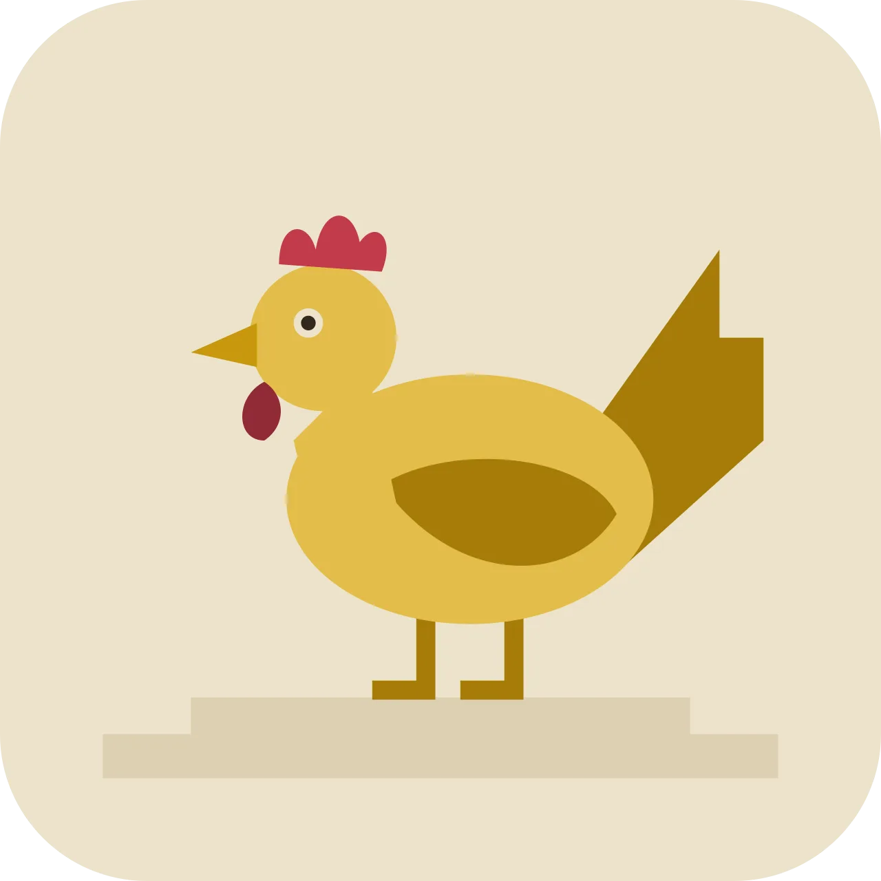 tijlan — hen, chicken