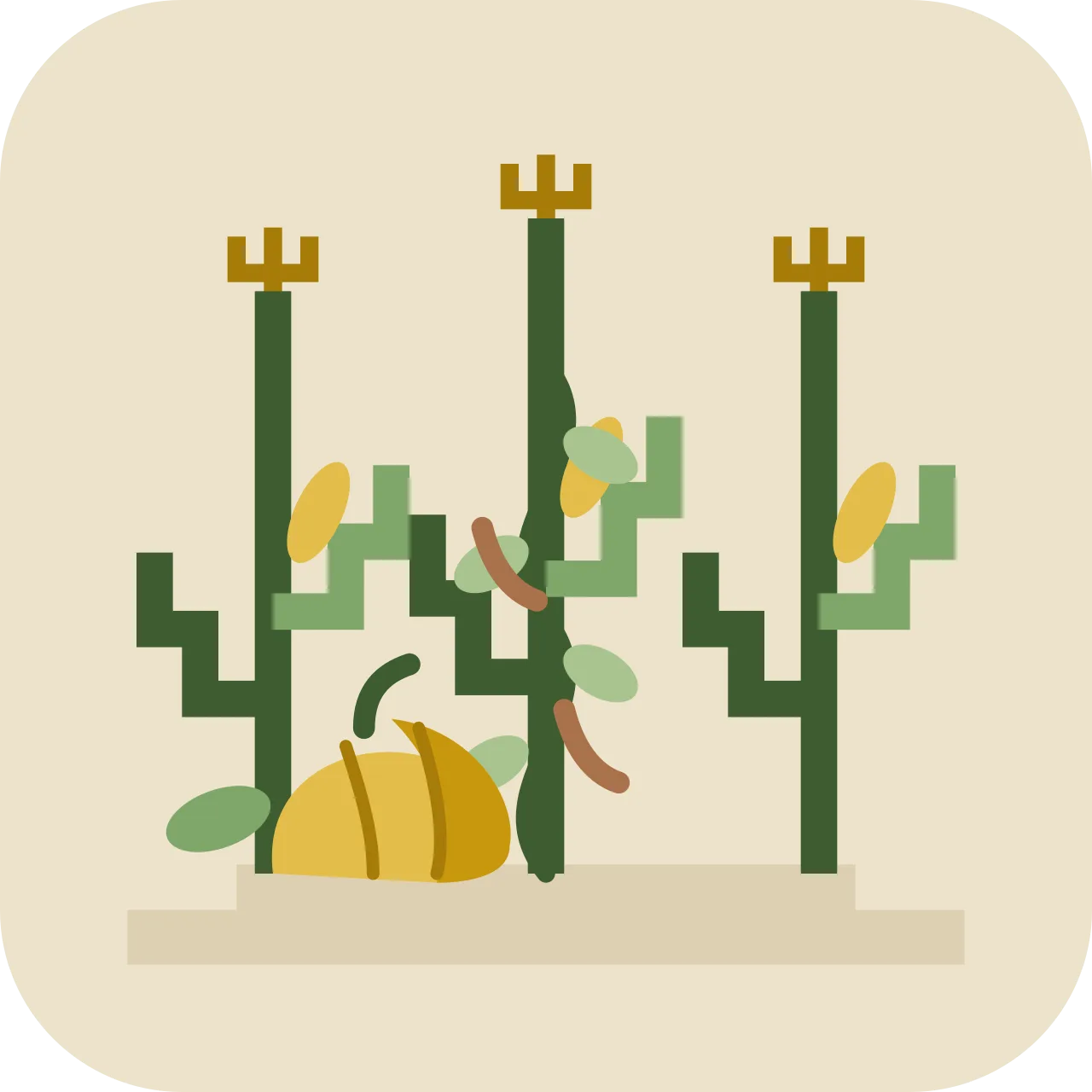 mil — cornfield