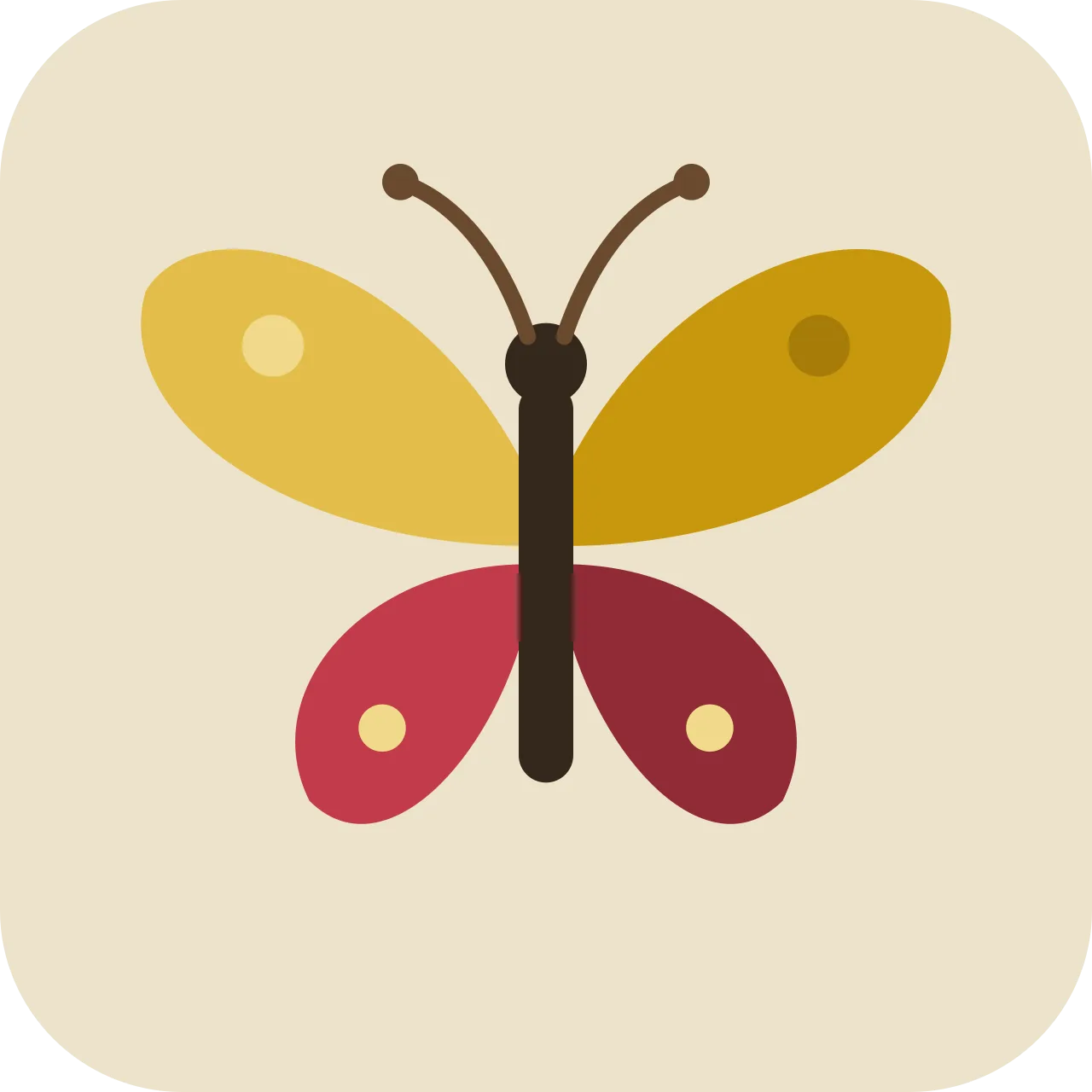 papalut — butterfly