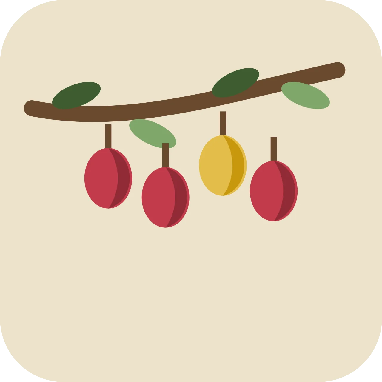 shukut — hog plum