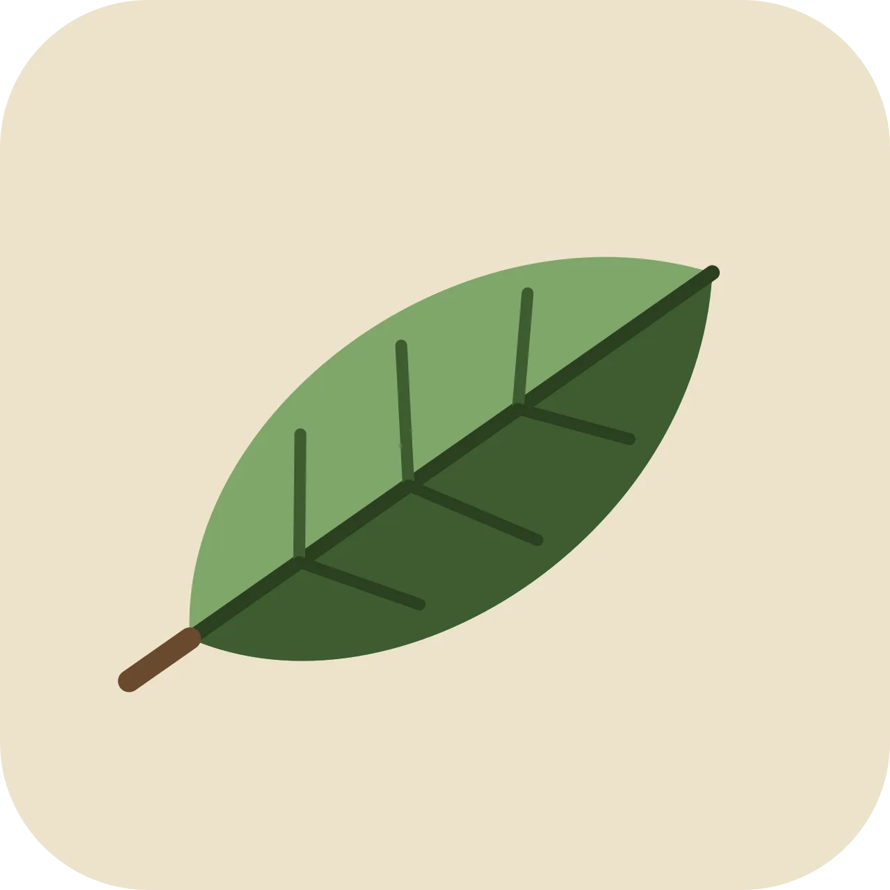 iswat — leaf