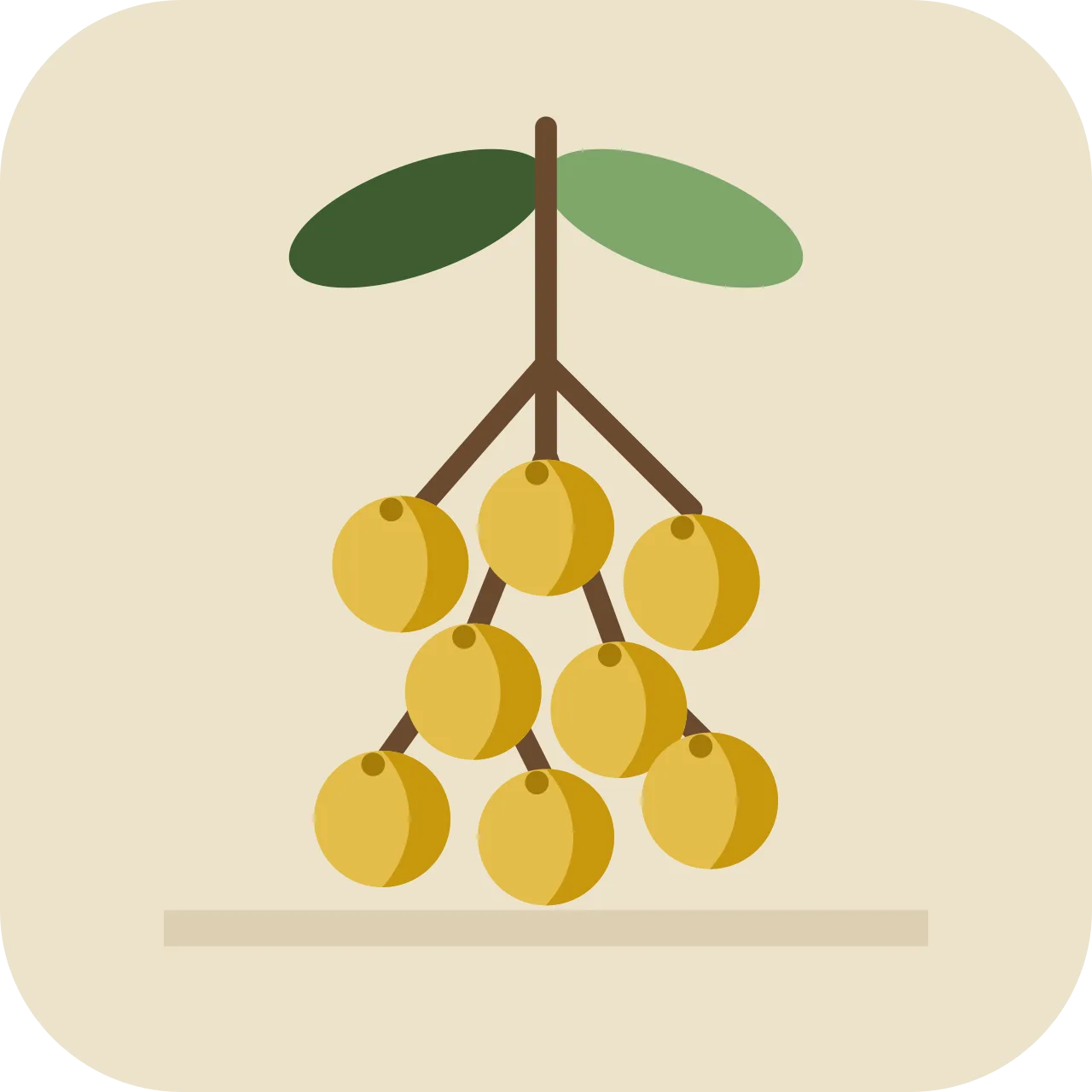 nan — nance (fruit)