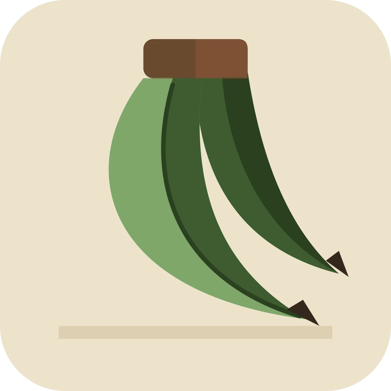 pula — plátano