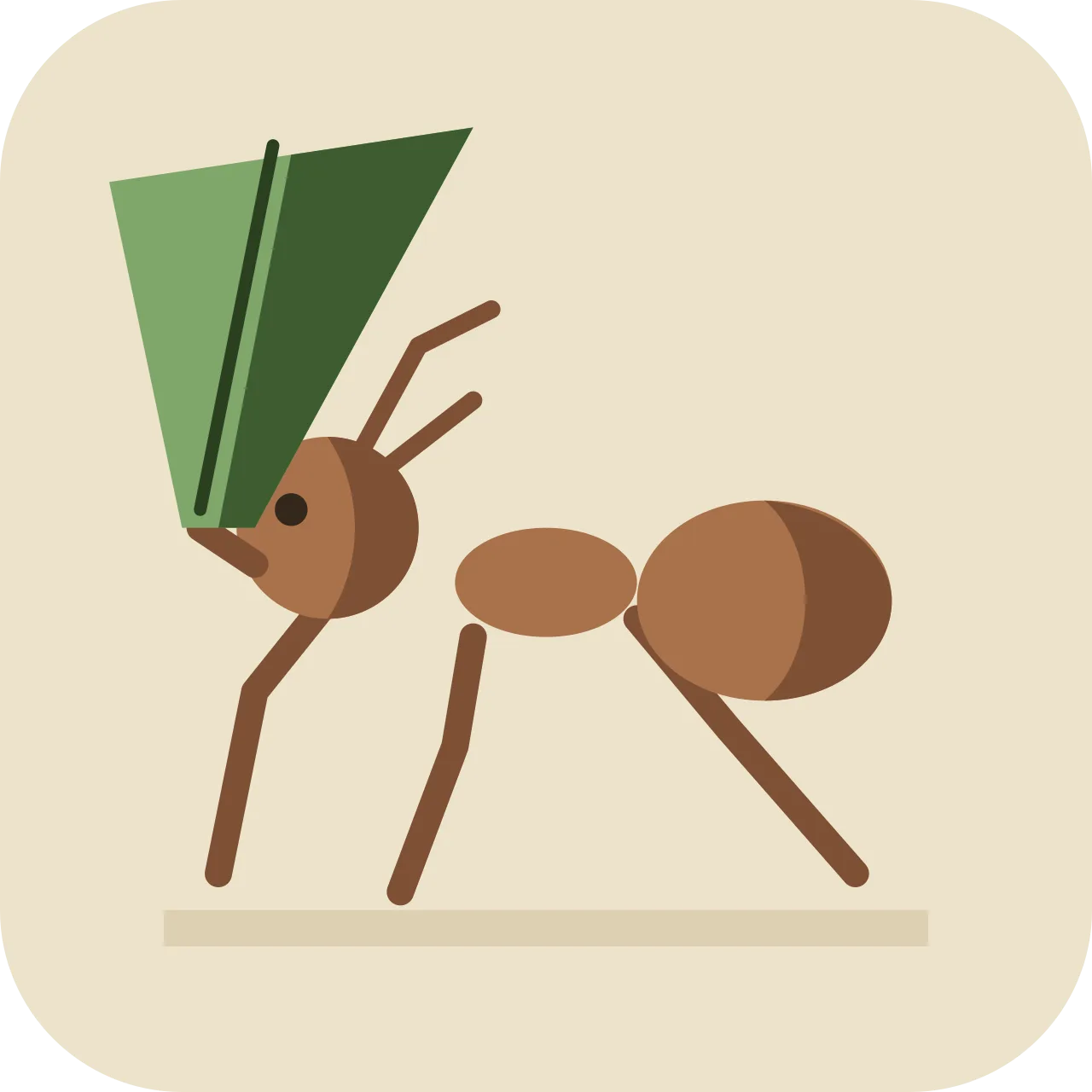 tzunpupu — zompopo, hormiga arriera
