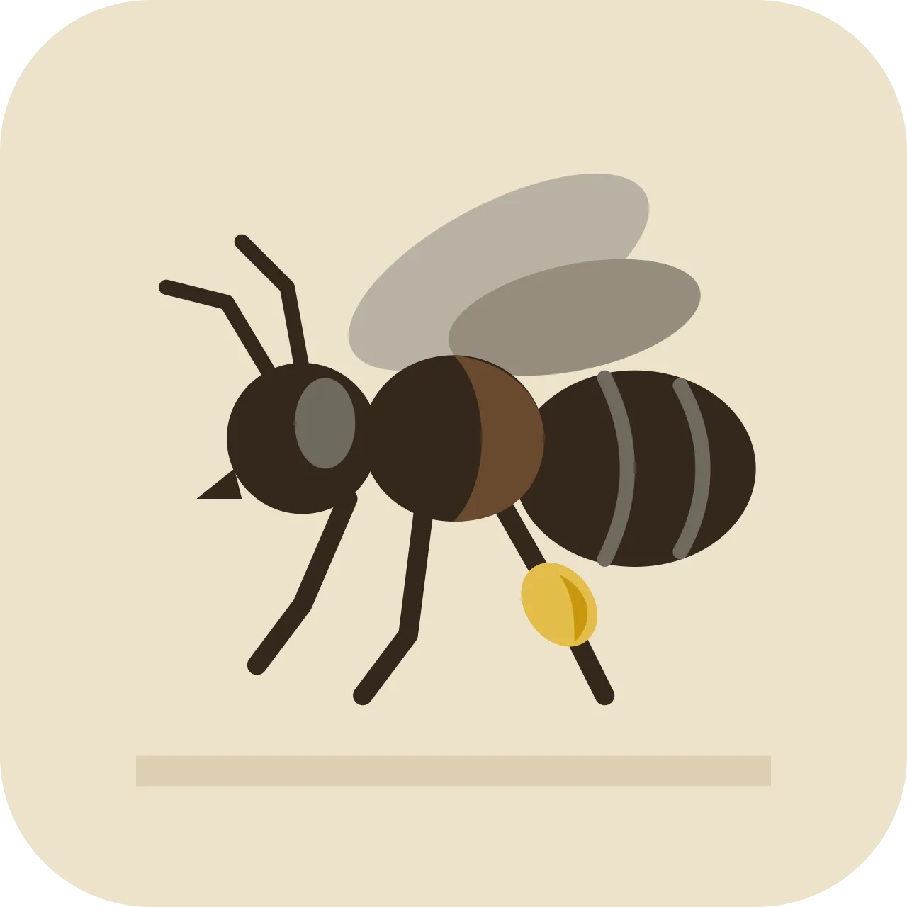 chumelu — stingless bee (the native chumelo)